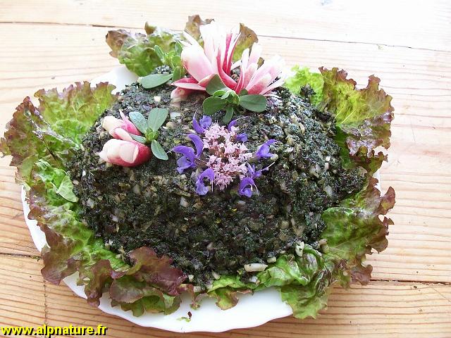 54_tartare de plantes.jpg